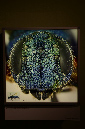 Wasp_exhibition__DSC3431